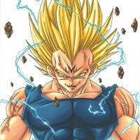 Majin vegeta 1