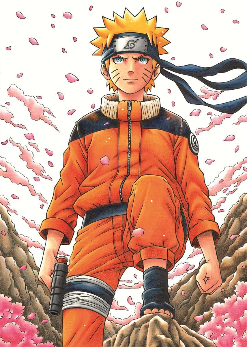 Naruto bis