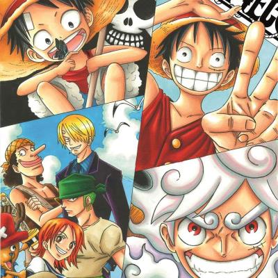 One piece bis